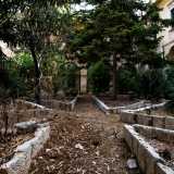 ...in cui la vegetazione cresce rigogliosa 